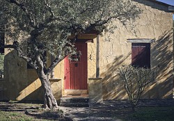 Villa Josephine - Kea COPY